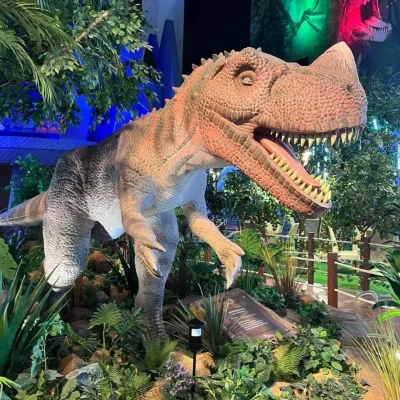 WhatsApp-Image-2024-05-05-at-4.22.04-AM